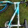 Verve Neo Chrome BMX Image 2