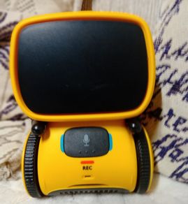 Interactive Smart Robot