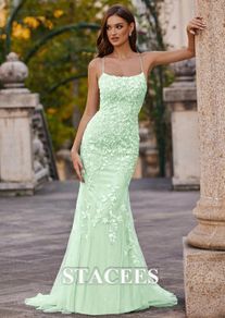 Stacees Prom Dress