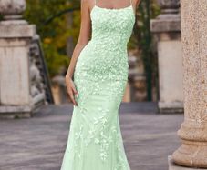 Stacees Prom Dress
