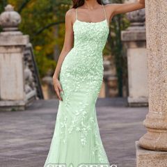 Stacees Prom Dress