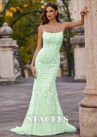 Stacees Prom Dress