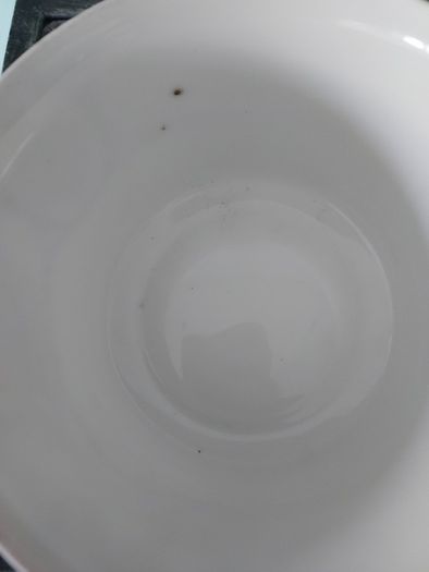 Very Fine Chodau Czeq Green Floral Fine Bone China Replacements