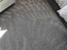 Cleaning Professional Carpet & Upholstery Cleaning - 10% OFF Image 8