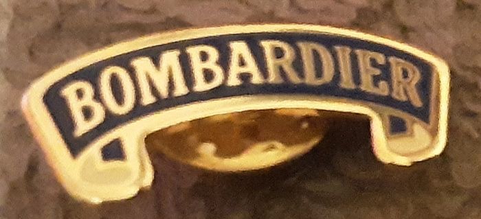 collectable lapel pins
