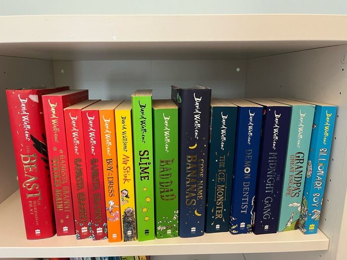 David Walliams 14 Books In Perfect Condition For Sale in Dublin 9 ...