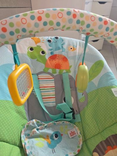 Baby Bouncer