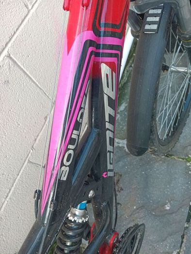 girls bicycle brand new
