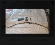 Recurve Bow