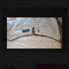 Recurve Bow