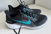 Nike Pegasus Runners