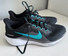 Nike Pegasus Runners