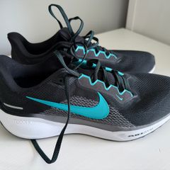 Nike Pegasus Runners