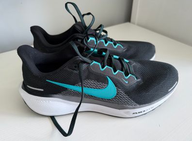 Nike Pegasus Runners