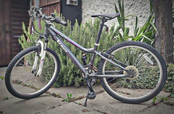 24" Procycle Venus Kids Bike - Aluminium Frame (Terenure)