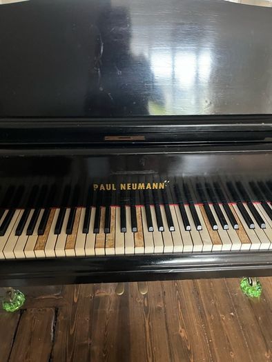 Grand Piano Paul Neumann