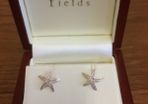 Sterling Silver Earring