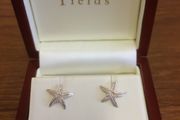 Sterling Silver Earring