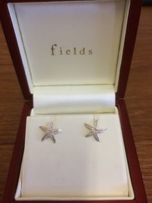 Sterling Silver Earring