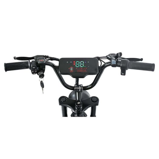 Happyrun HR-G50 Electric Bike