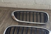 2017 g30 BMW 520 grills