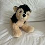 Teddys Image 2