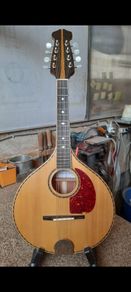 Handmade Mandolin