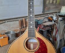 Handmade Mandolin