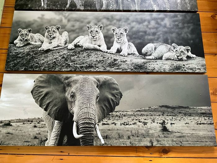 Large Black & White Wall Art Prints. Set of 3