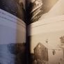 My Countryside / My Cradle/ Paddy Tighe/ 2010 Image 9