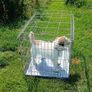 dog cage Image 2