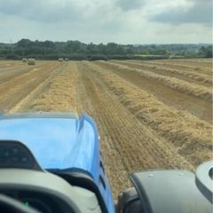 Silage and straw for sale