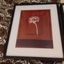 Punjab Poppy - Two Prints in frames 21 inches by 25 inches Image 4