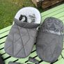 Buggy Image 8