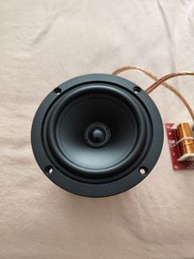 Coaxial Driver