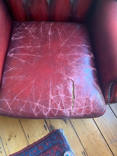 Chesterfield wingback chair