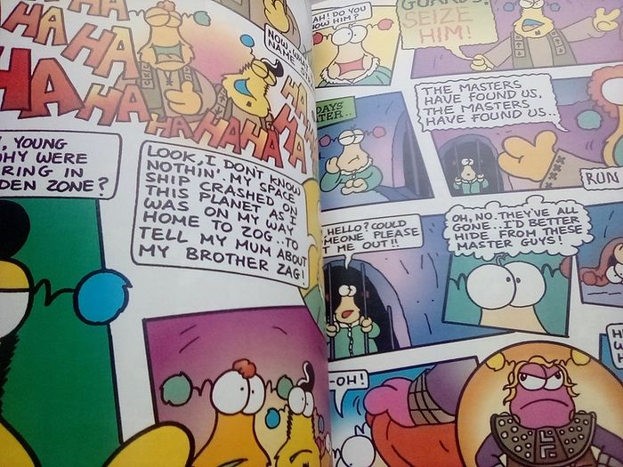 1994 Zig & Zag book