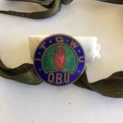 Itgwu Badge