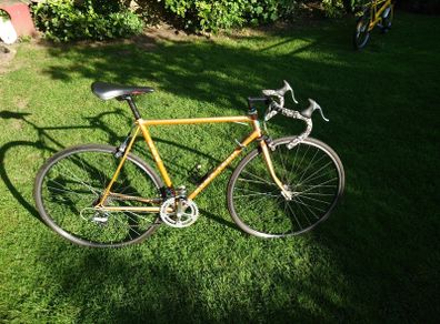 Raleigh Dyna Tech