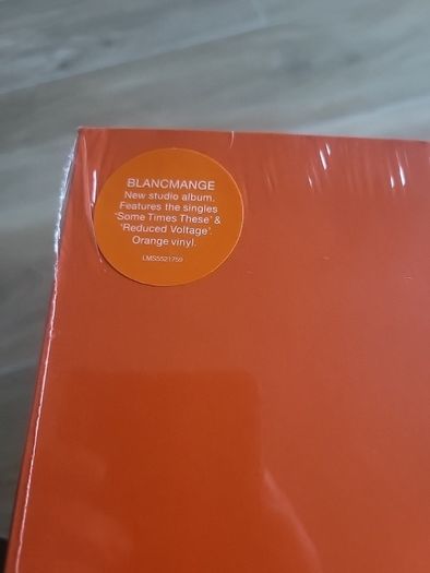Blanchmange 2022 album private view vinyl