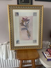 framed print by P Jaeger