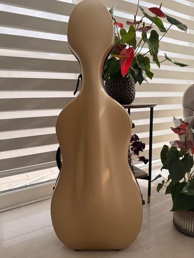 1/2 size cello