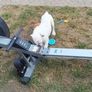 Free Rower Image 2