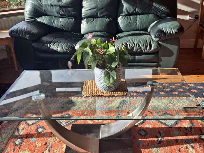 Glass Coffee Table