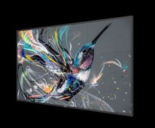Digital Signage Display Monitor PHILIPS 55"