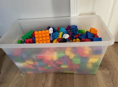 duplo  blocks