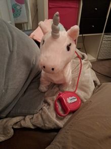Walking Toy