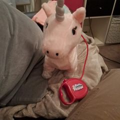 Walking Toy