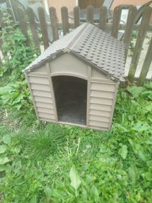 large dog kennel
