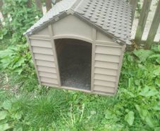 large dog kennel